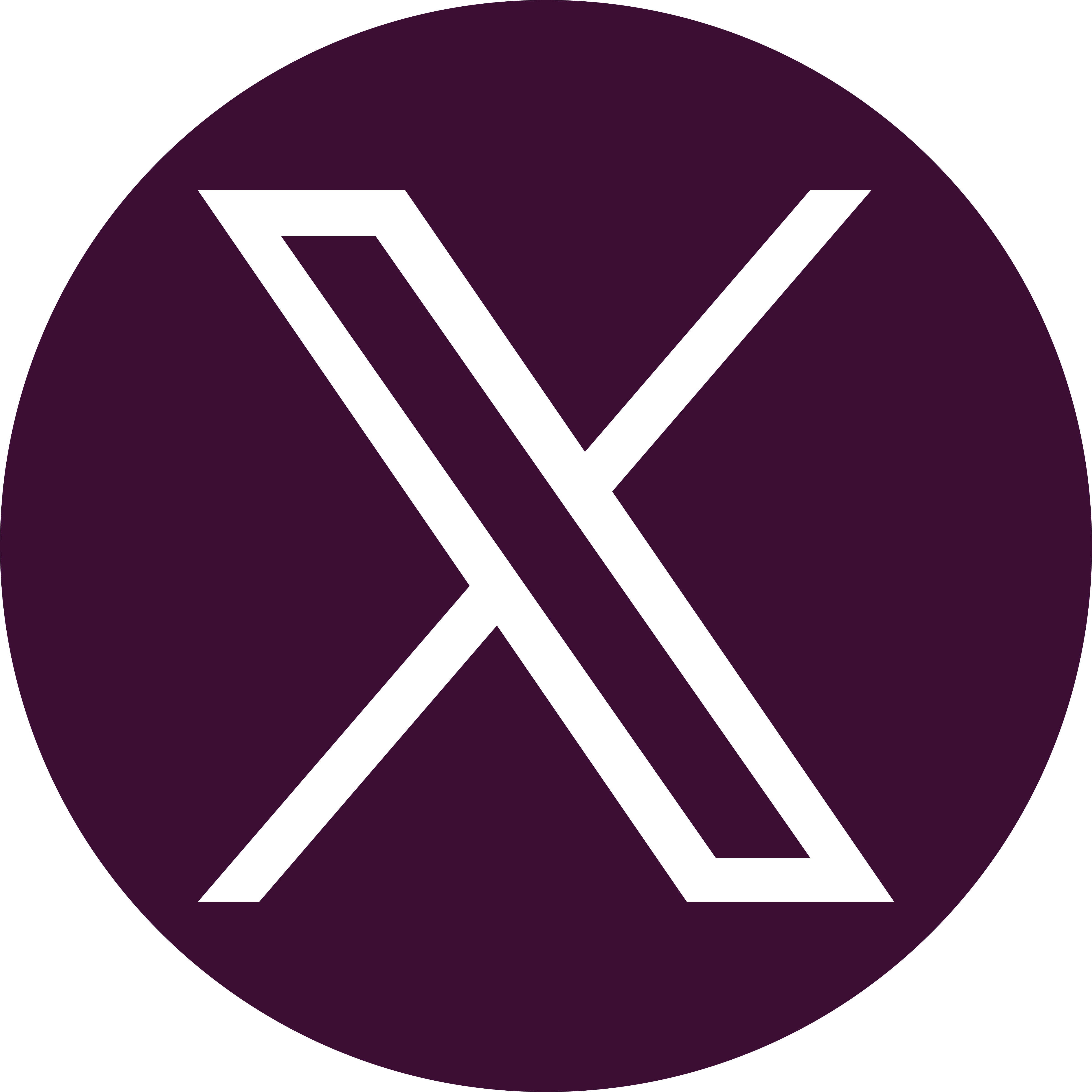 X (Twitter)